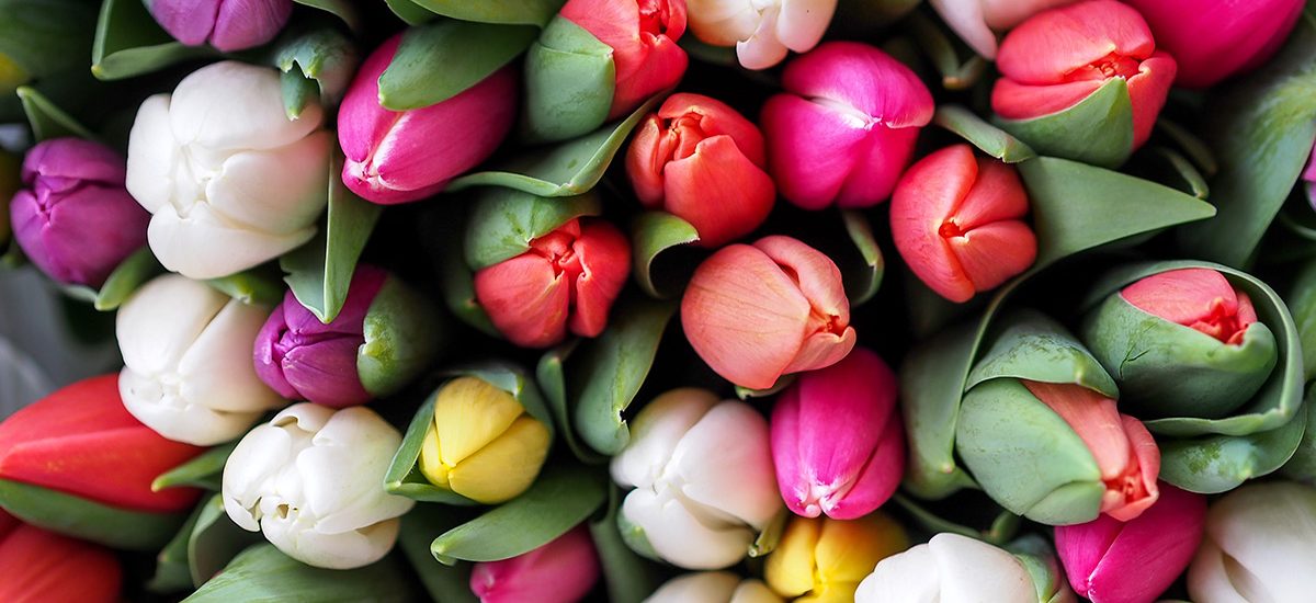 L’auberge Baton Rouge, Louisiana | What to Do at a Casino if You Don’t Gamble