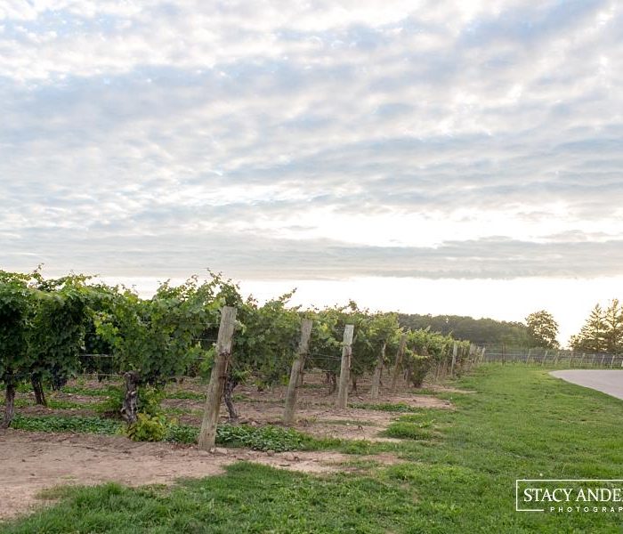 Canada, Eh? (Must See and Do Things in Toronto, Ontario)