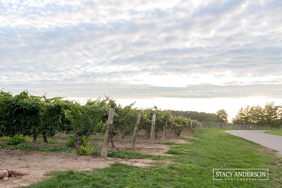 Canada, Eh? (Must See and Do Things in Toronto, Ontario)