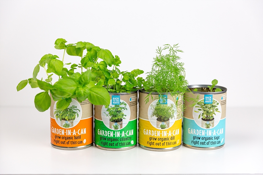 Growing An Herb Garden that Even I Can’t Kill (Garden In A Can by Back to the Roots)
