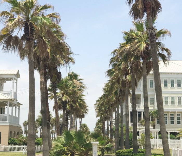 Friendship & Places to Take Photos in Galveston, TX (Murals, History, and Everything In Between)