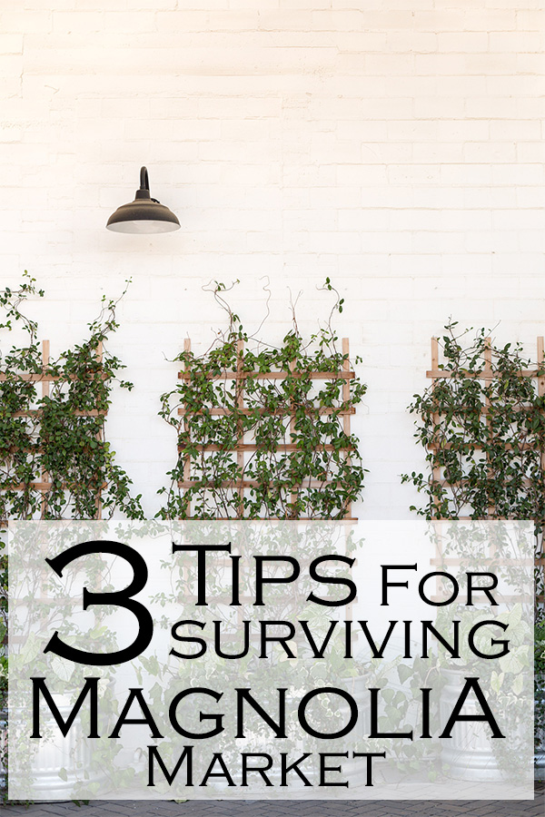 Hurried Hostess tips for traveling to waco magnolia market silos fixer upper must see do