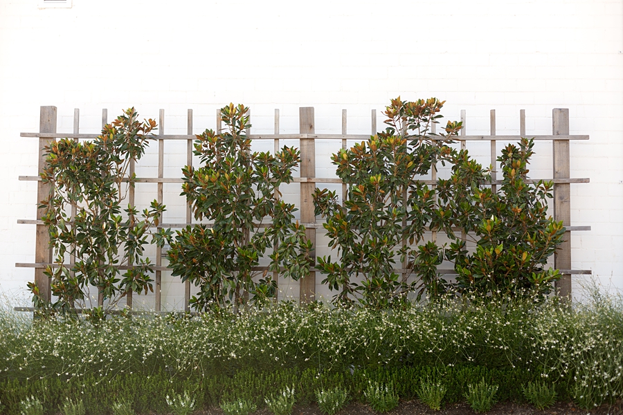 magnolia market silos waco tx fixer upper