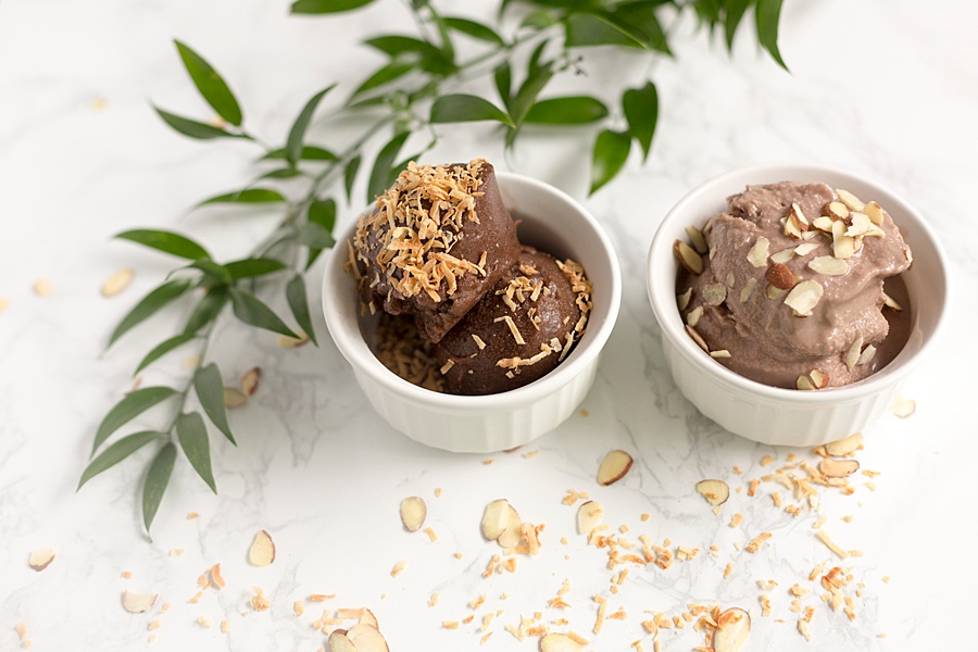 Dark Chocolate Ice Cream & Frozen Yogurt for the Plant-Based Diet