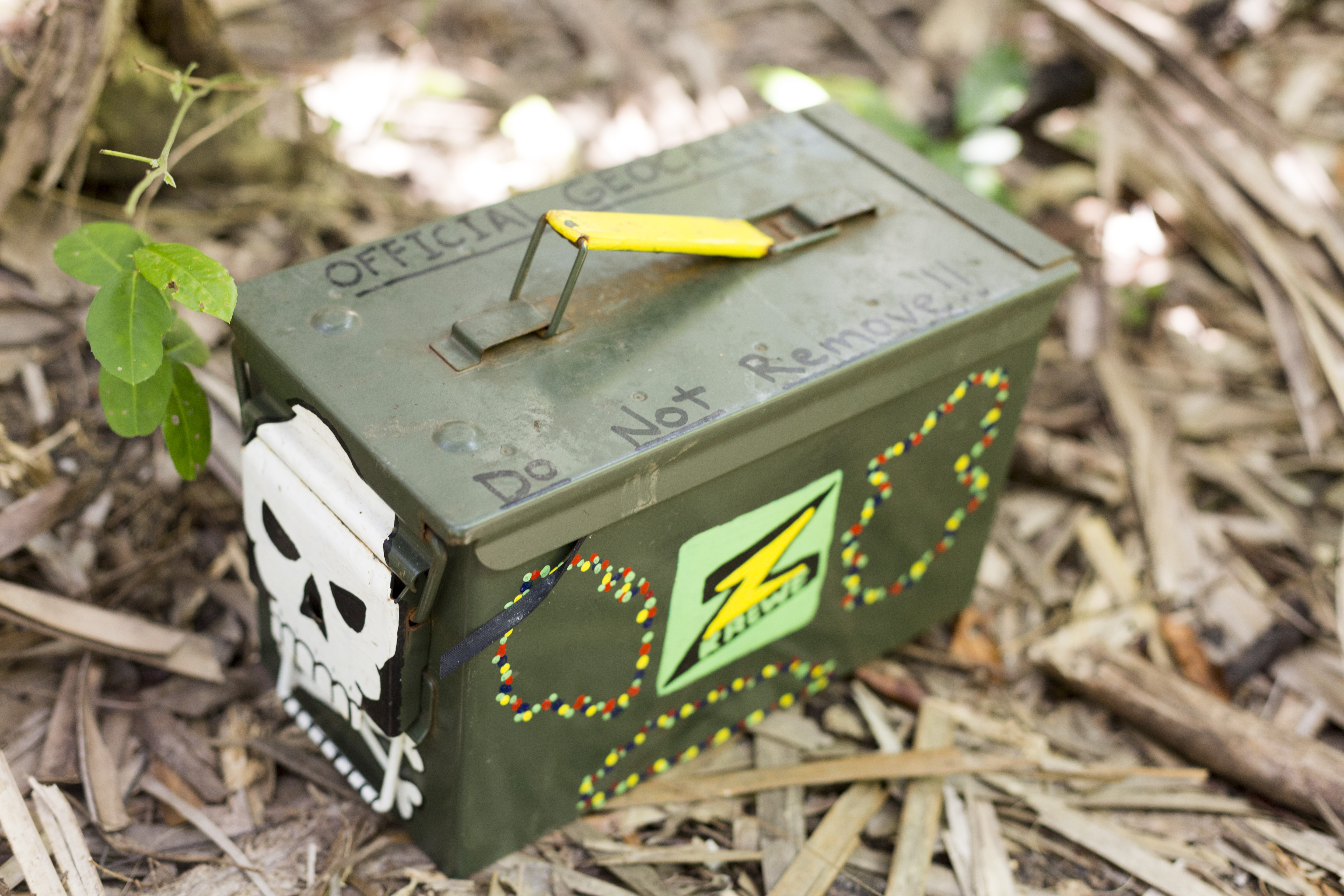 A Free Summer Activity That’s Fun For the Whole Family