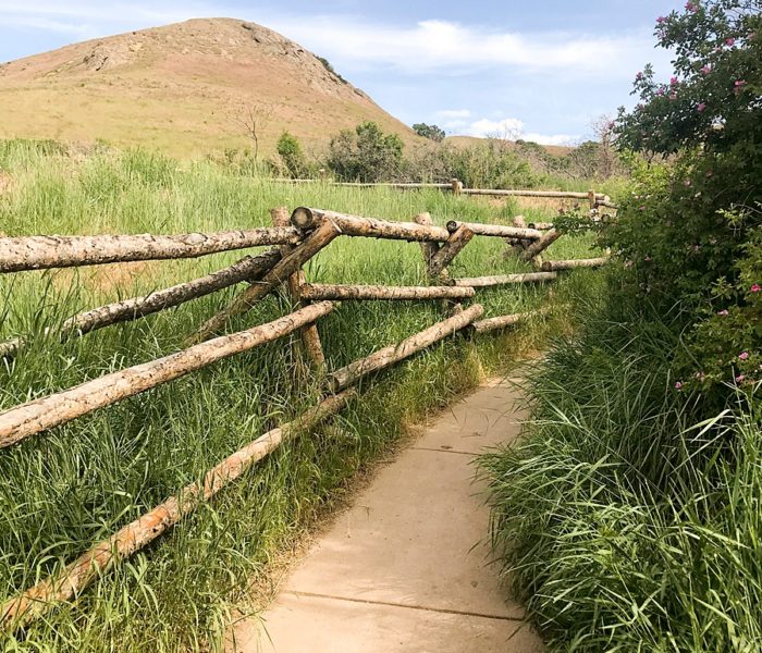 How to Take A Cross Country Road Trip for Under $500