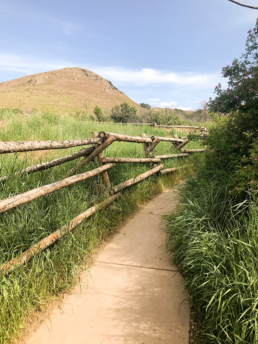 How to Take A Cross Country Road Trip for Under $500