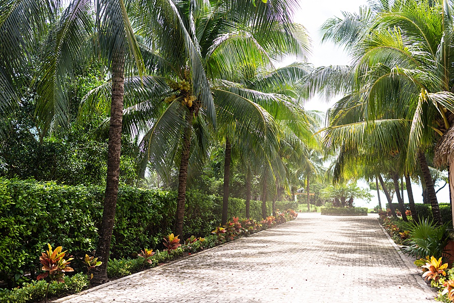 Hurried Hostess Travel Blog Maldives