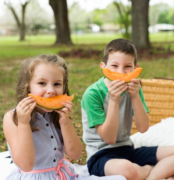 Spring Backyard Picnic
