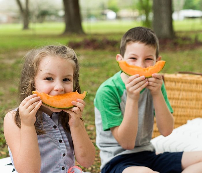 Spring Backyard Picnic
