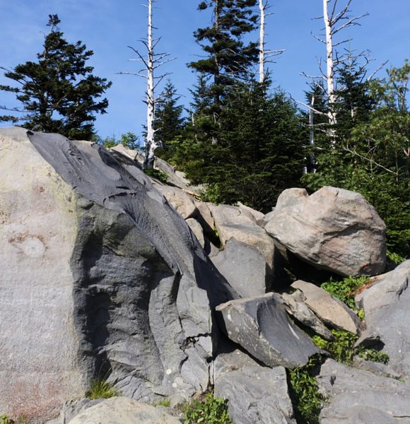 Pigeon Forge in the Spring