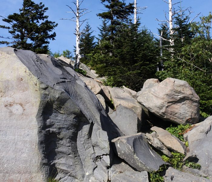 Pigeon Forge in the Spring