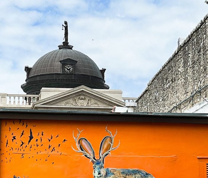 What to Do in Georgetown, Texas