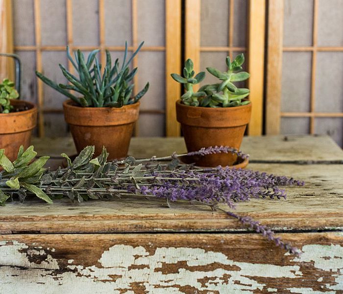 What to Do in Santa Fe, New Mexico in a Weekend