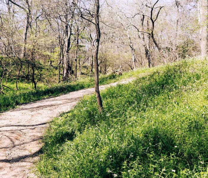 Exploring Stephen F Austin State Park