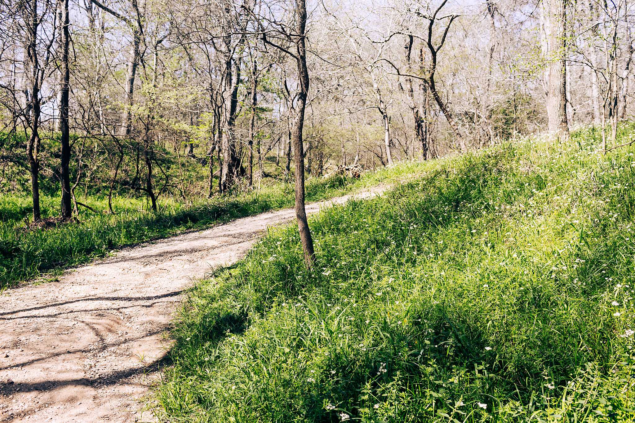 Exploring Stephen F Austin State Park