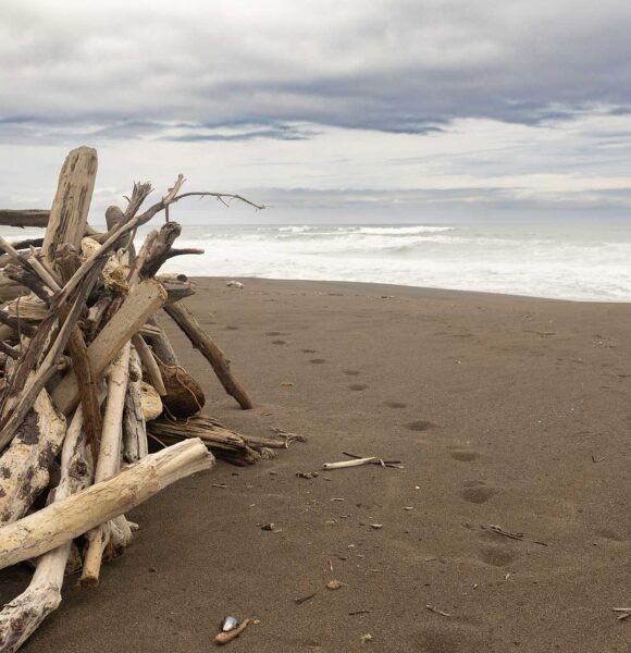 What to See on the Mendocino Coast