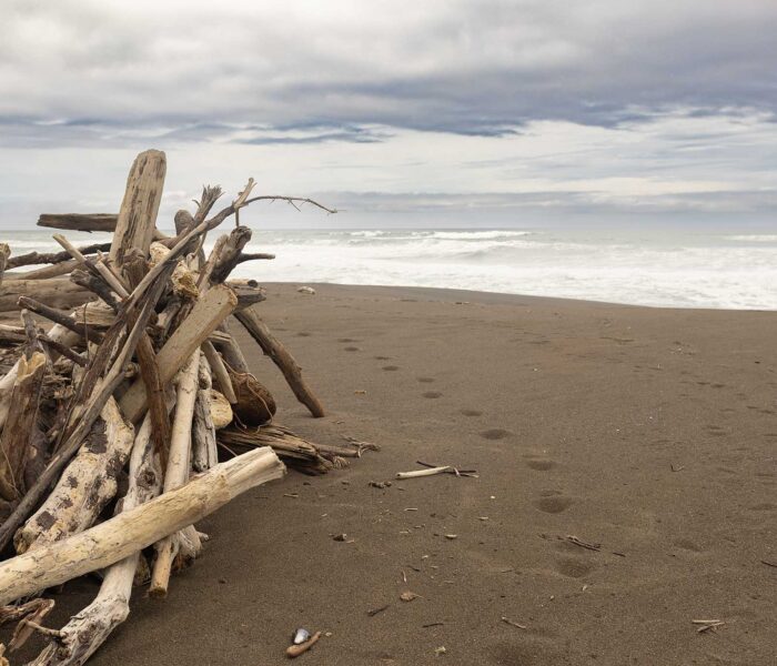 What to See on the Mendocino Coast