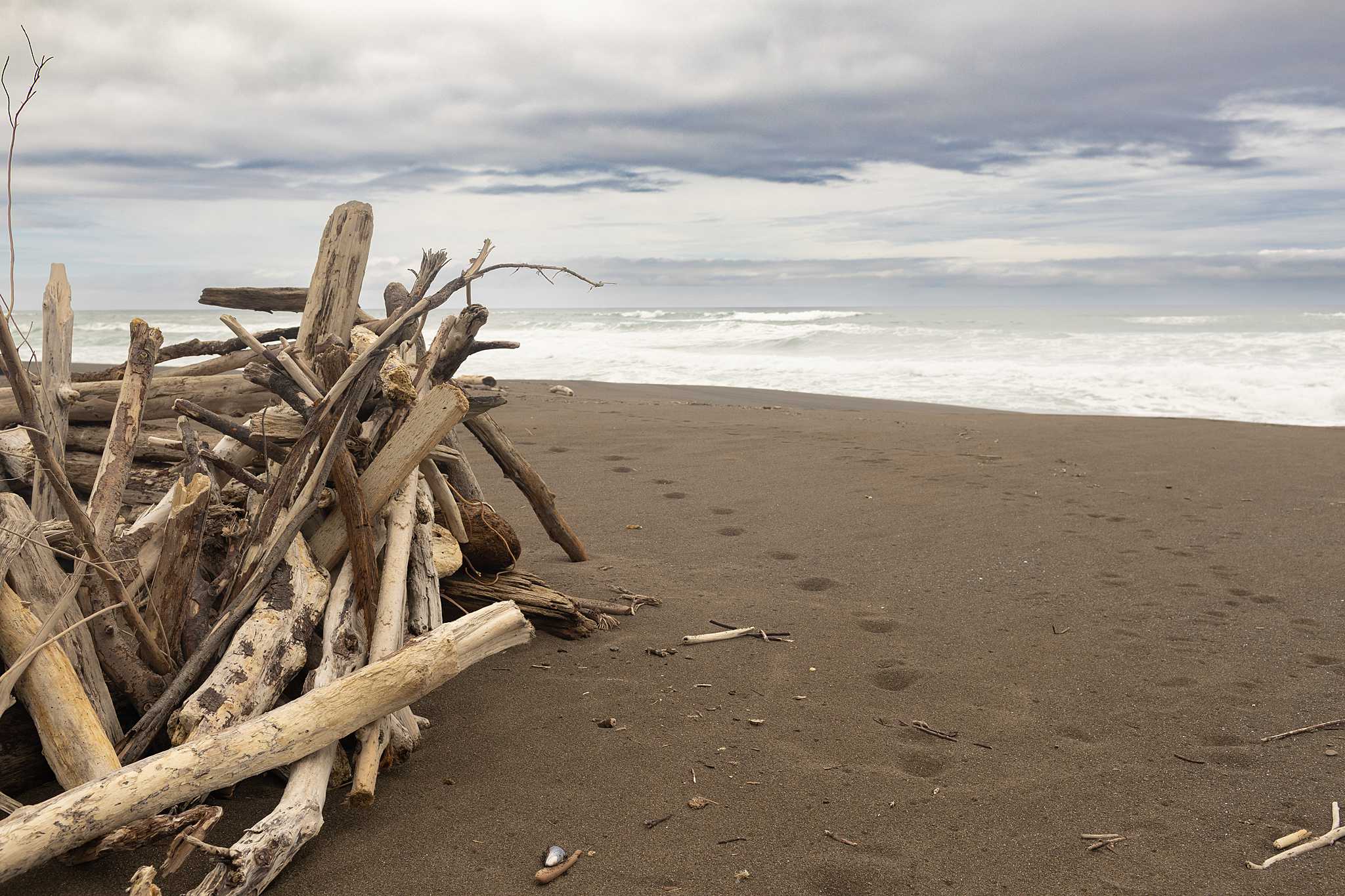 What to See on the Mendocino Coast