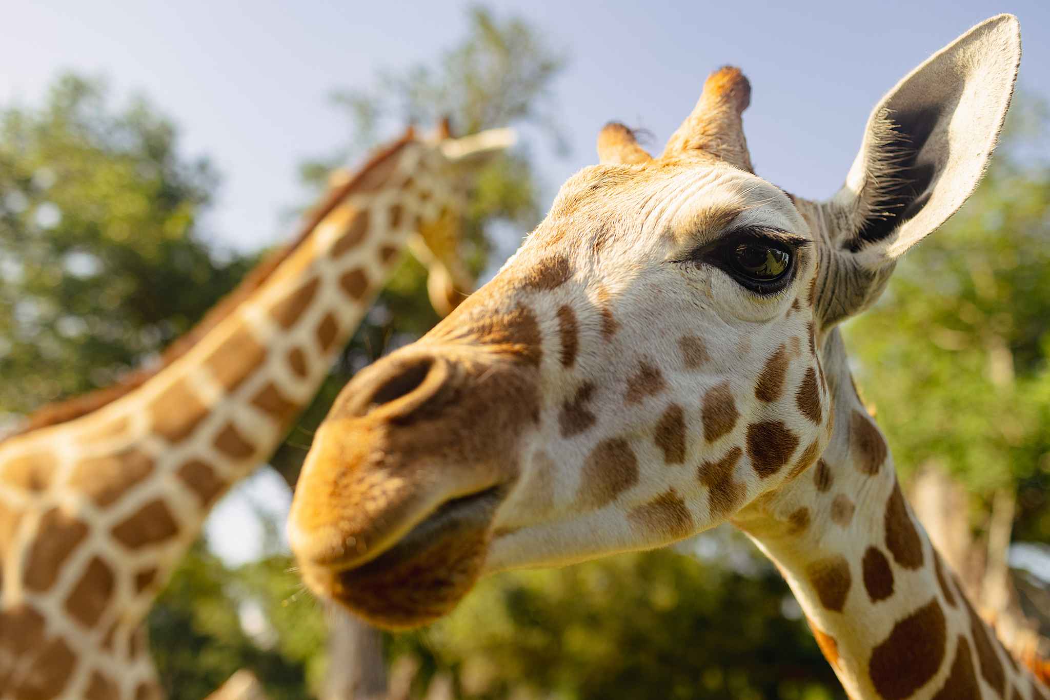 Getting WILD in Southeast Louisiana