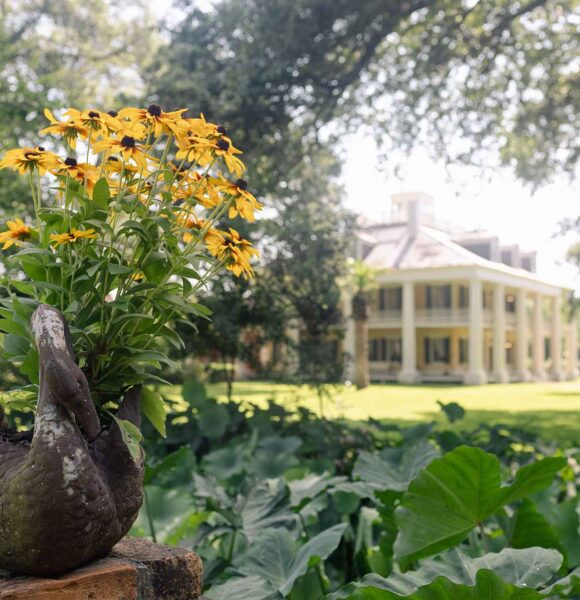 Houmas House Mansion and Gardens | Ascension Parish Louisiana