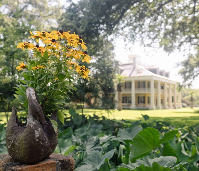 Houmas House Mansion and Gardens | Ascension Parish Louisiana